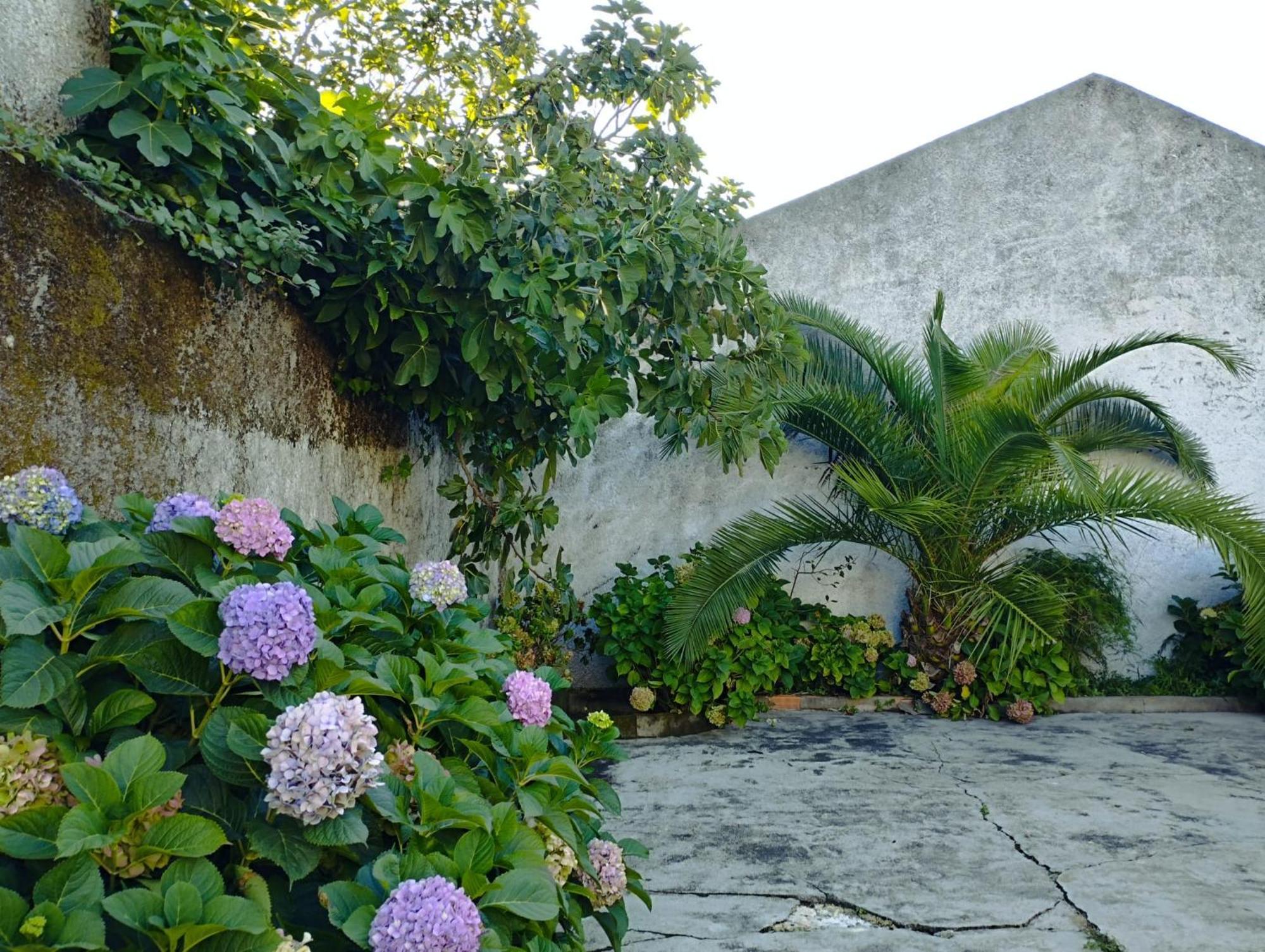 Villa Cle House Anadia Exterior foto